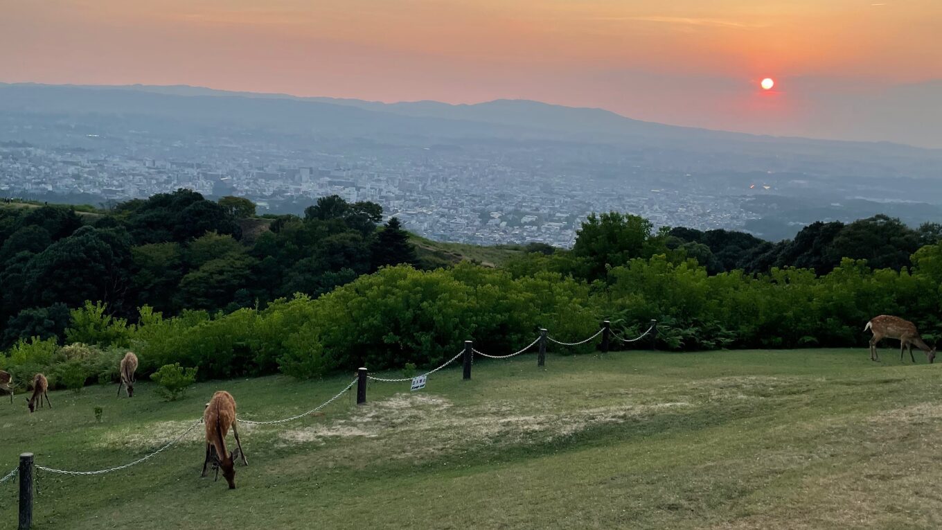 コラム：「思考停止でS&P500やオルカンに投資するのはやめておけ」の発信を信じるのはやめておけ。