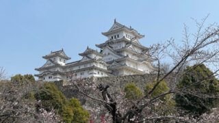 40代・住宅ローンありでも新NISAはできる？毎月いくら積み立てればいい？