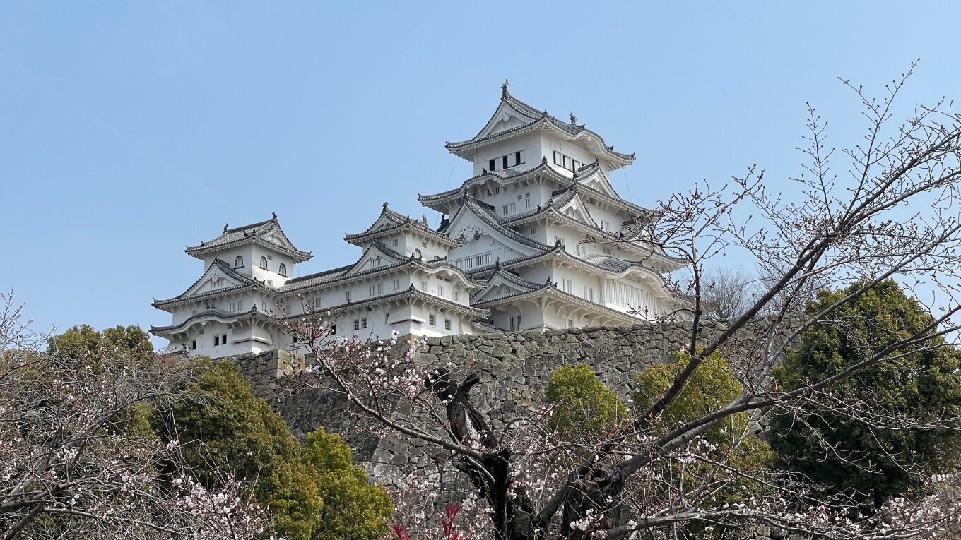 40代・住宅ローンありでも新NISAはできる？毎月いくら積み立てればいい？