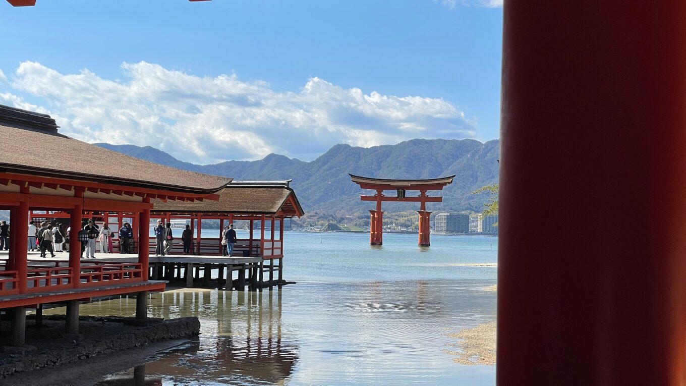 【2026年3月版】激動の経済ニュース5選！個人投資家が生き抜くための「リスク管理」と「攻め時」