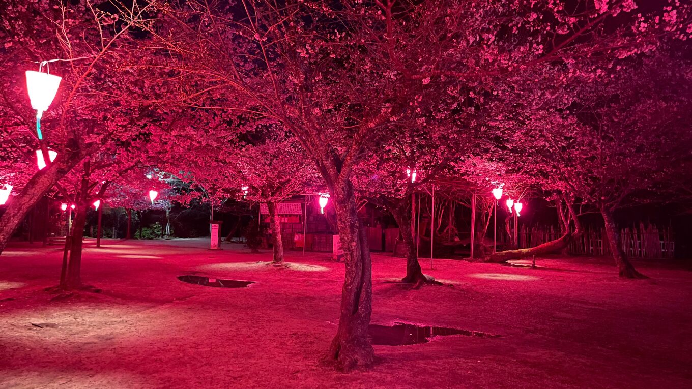 【2026年4月版】配当権利確定月に狙う！高配当株の基本とおすすめの選び方